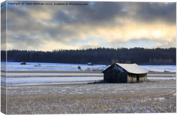Wooden Barn Under Moody Sky in Winter  Canvas Print by Taina Sohlman