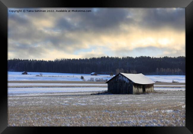 Wooden Barn Under Moody Sky in Winter  Framed Print by Taina Sohlman