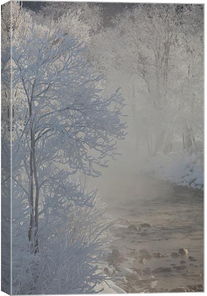 Winter morning Canvas Print by Thomas Schaeffer