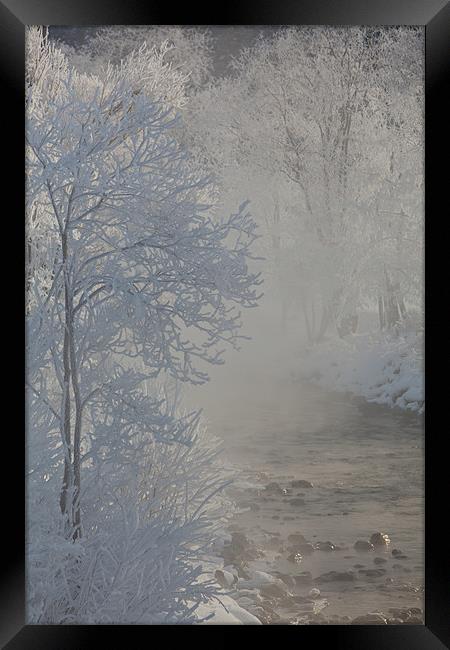 Winter morning Framed Print by Thomas Schaeffer