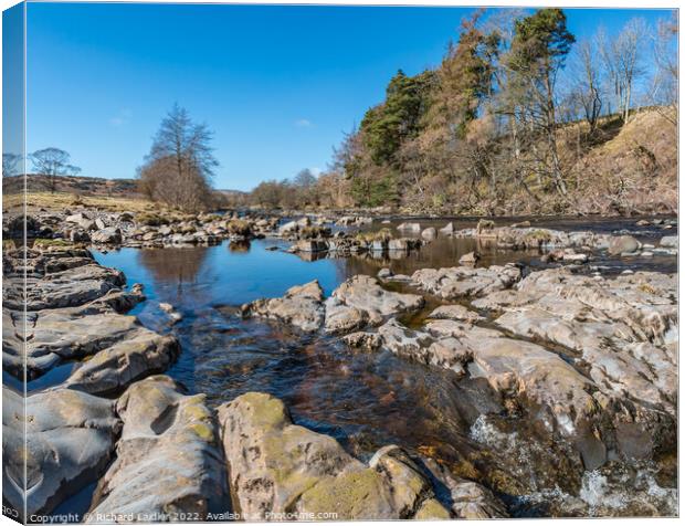 River Tees upstream from Low Force Canvas Print by Richard Laidler