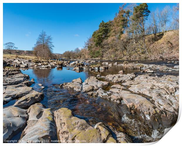River Tees upstream from Low Force Print by Richard Laidler