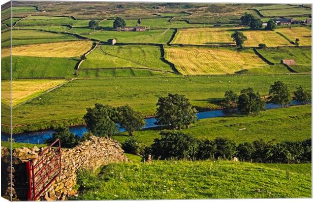 Yorkshire Dales Landscape Canvas Print by Martyn Arnold