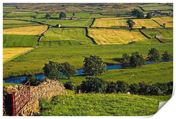 Yorkshire Dales Landscape Print by Martyn Arnold