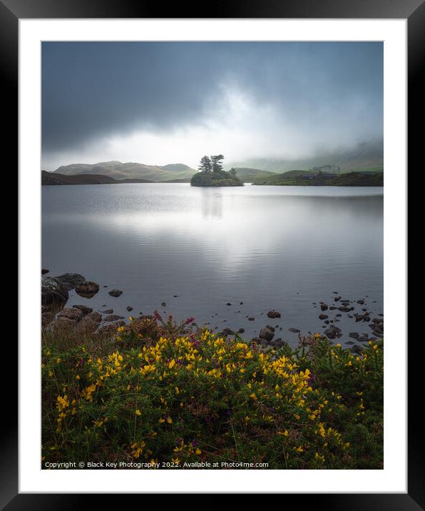 Cregennan Lakes Flowers Framed Mounted Print by Black Key Photography