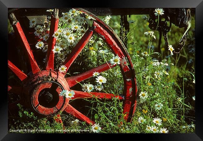 Cartwheel & Daises Framed Print by Creative Photography Wales