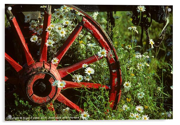 Cartwheel & Daises Acrylic by Creative Photography Wales