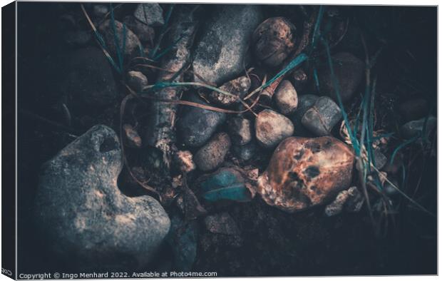 Blair Witch Canvas Print by Ingo Menhard