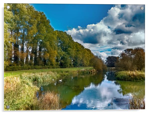 The Thames near Buscot Lock Acrylic by Joyce Storey