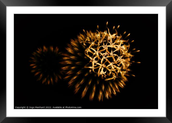 Nature's firework Framed Mounted Print by Ingo Menhard