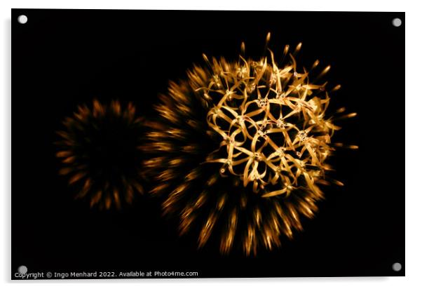 Nature's firework Acrylic by Ingo Menhard