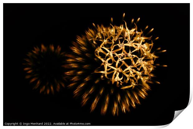 Nature's firework Print by Ingo Menhard