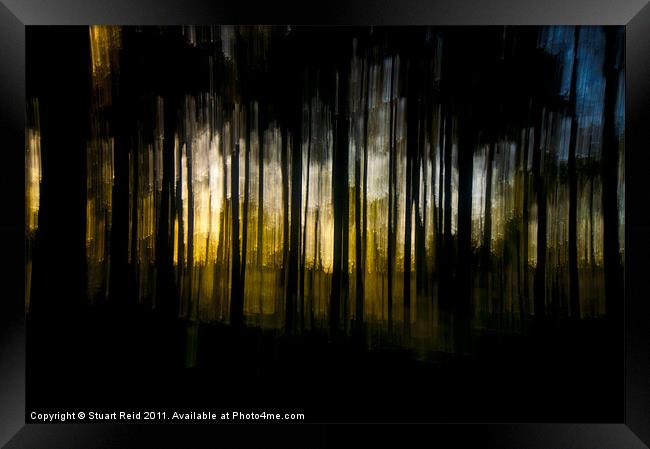 Tree Abstract (drop pan) Framed Print by Stuart Reid