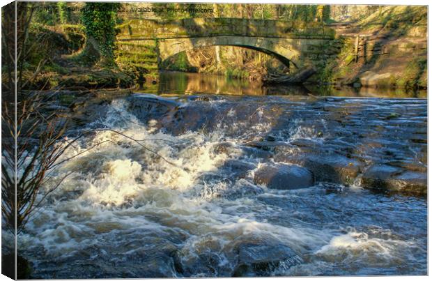 Enchanting Waterfall in the Heart of Nature Canvas Print by Stephen Hollin