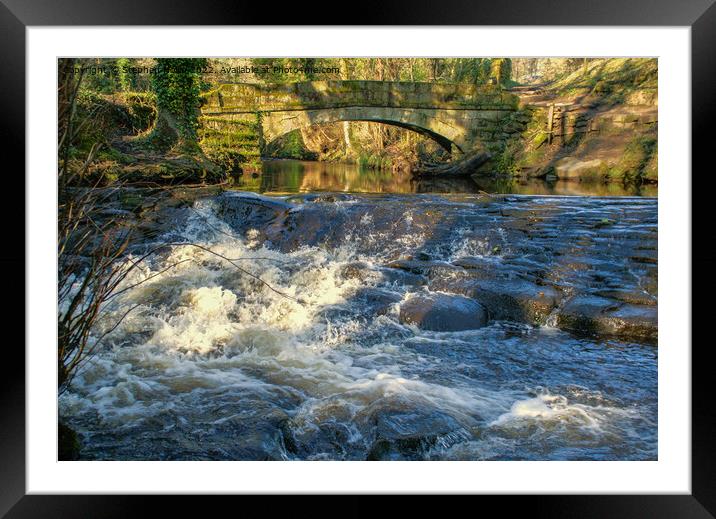 Enchanting Waterfall in the Heart of Nature Framed Mounted Print by Stephen Hollin