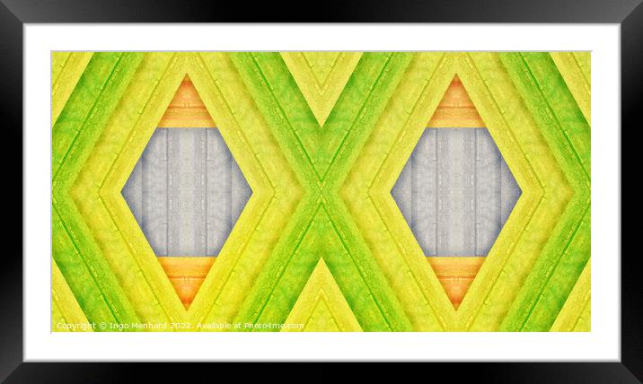 The wood have eyes Framed Mounted Print by Ingo Menhard
