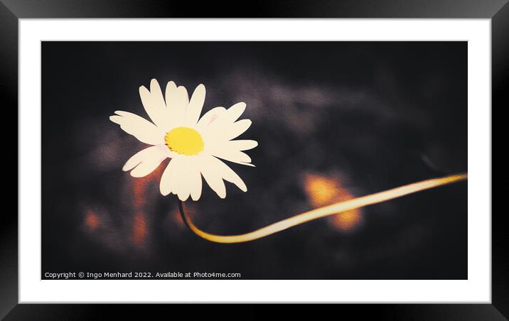 Artful daisy Framed Mounted Print by Ingo Menhard