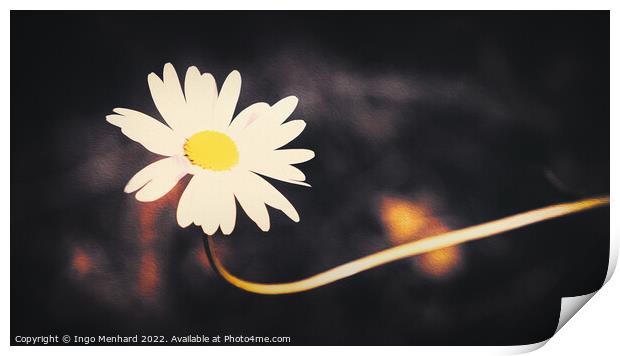 Artful daisy Print by Ingo Menhard