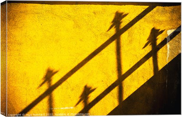 Four spears on yellow wall Canvas Print by Ingo Menhard