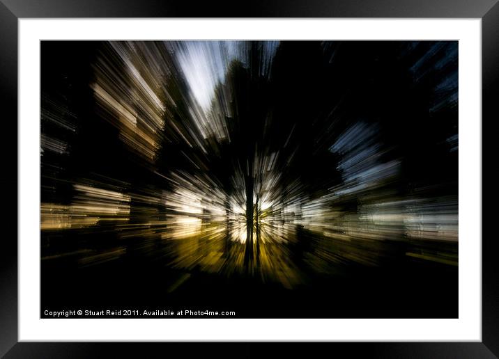 Tree Abstract zoom burst Framed Mounted Print by Stuart Reid