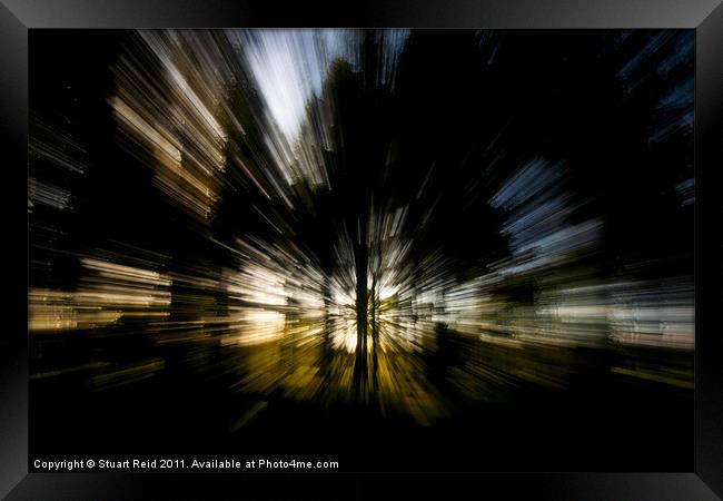 Tree Abstract zoom burst Framed Print by Stuart Reid