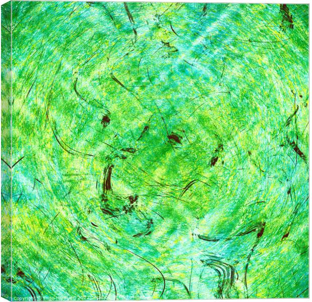 Green marble Canvas Print by Ingo Menhard