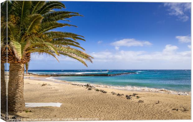 Palm Tree on the beach. Costa Teguise, Lanzarote Canvas Print by Michael Shannon