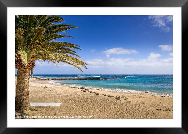 Palm Tree on the beach. Costa Teguise, Lanzarote Framed Mounted Print by Michael Shannon