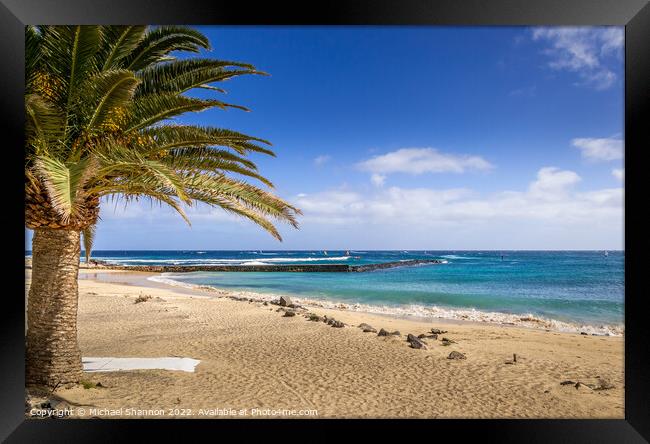 Palm Tree on the beach. Costa Teguise, Lanzarote Framed Print by Michael Shannon