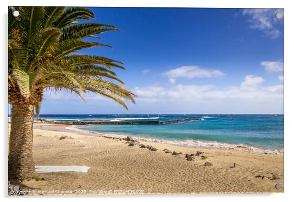 Palm Tree on the beach. Costa Teguise, Lanzarote Acrylic by Michael Shannon