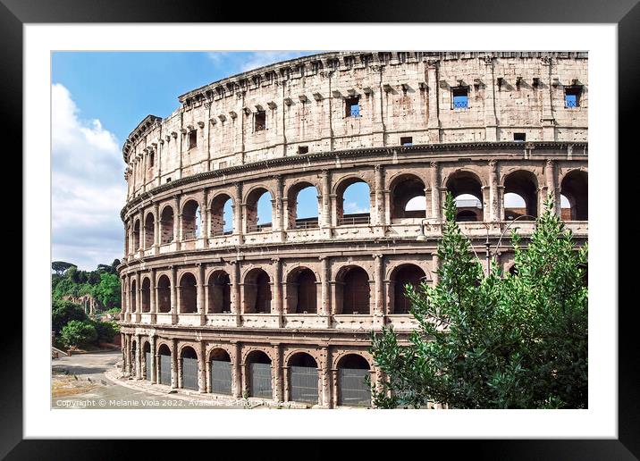 ROME Colosseum Framed Mounted Print by Melanie Viola