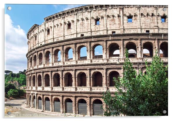 ROME Colosseum Acrylic by Melanie Viola