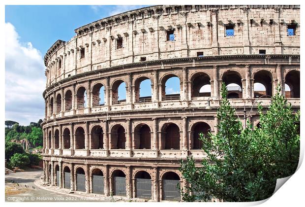 ROME Colosseum Print by Melanie Viola