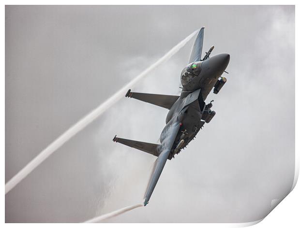 F15-Eagle Print by Rory Trappe
