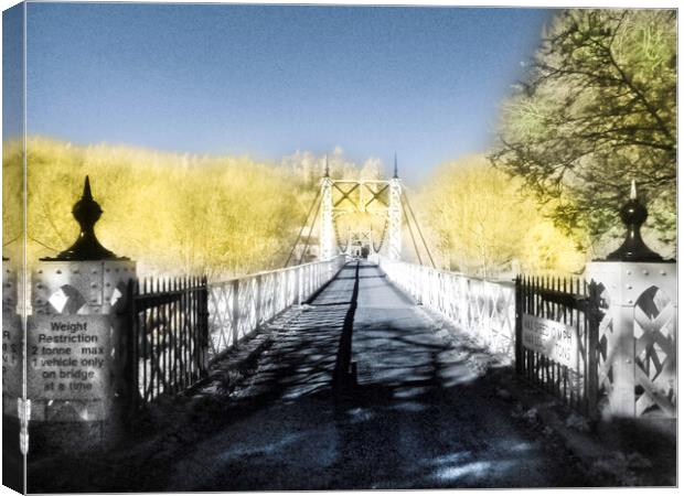 Apley Suspension bridge.  Canvas Print by Steve Taylor