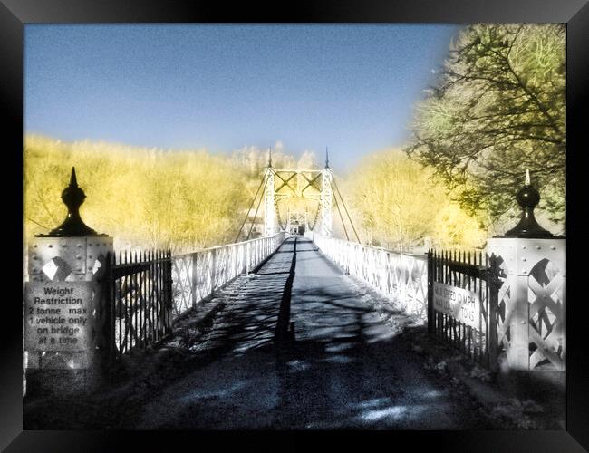 Apley Suspension bridge.  Framed Print by Steve Taylor
