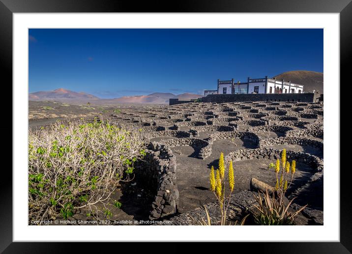 Bodega in the La Geria region of Lanzarote Framed Mounted Print by Michael Shannon