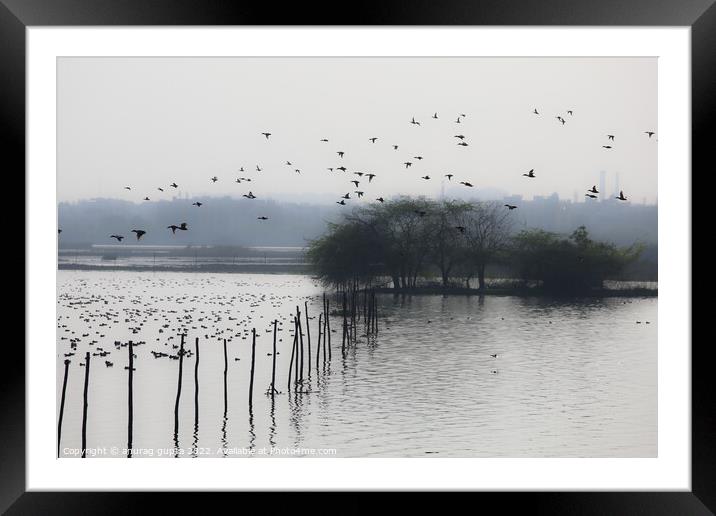 Okhla bird lake Framed Mounted Print by anurag gupta