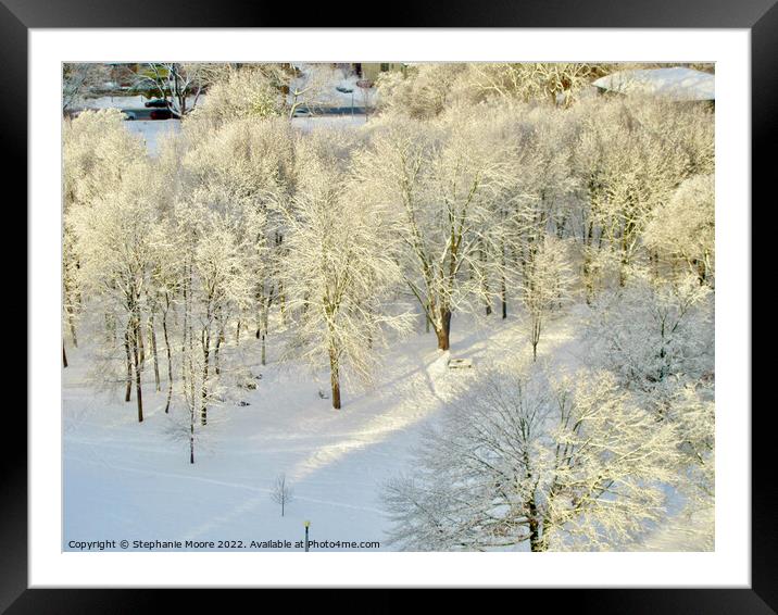 Frosty Trees Framed Mounted Print by Stephanie Moore