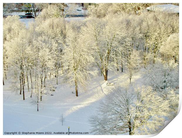 Frosty Trees Print by Stephanie Moore