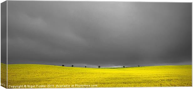 The Yellow Field Canvas Print by Creative Photography Wales