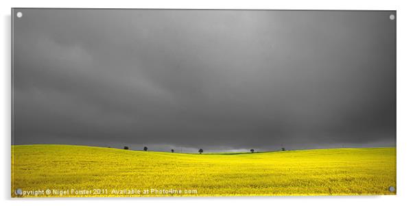The Yellow Field Acrylic by Creative Photography Wales