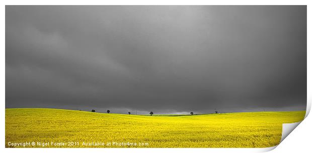 The Yellow Field Print by Creative Photography Wales