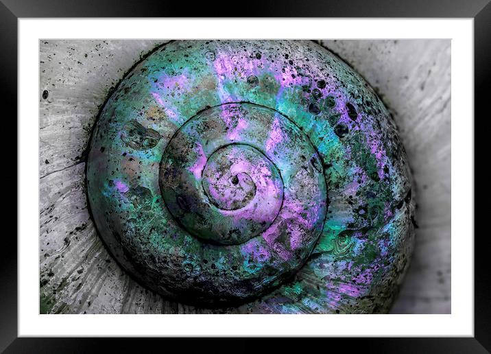 Weathered Spiral Framed Mounted Print by Kelly Bailey