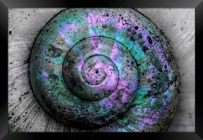Weathered Spiral Framed Print by Kelly Bailey