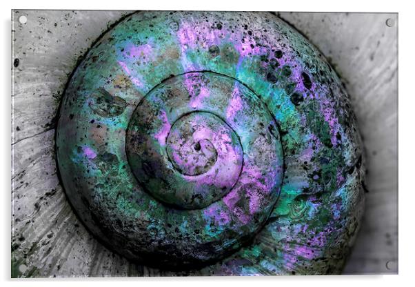 Weathered Spiral Acrylic by Kelly Bailey