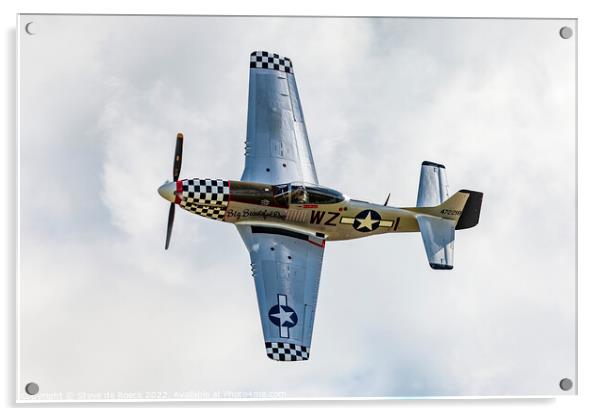 P51D Mustang Big Beautiful Doll Acrylic by Steve de Roeck