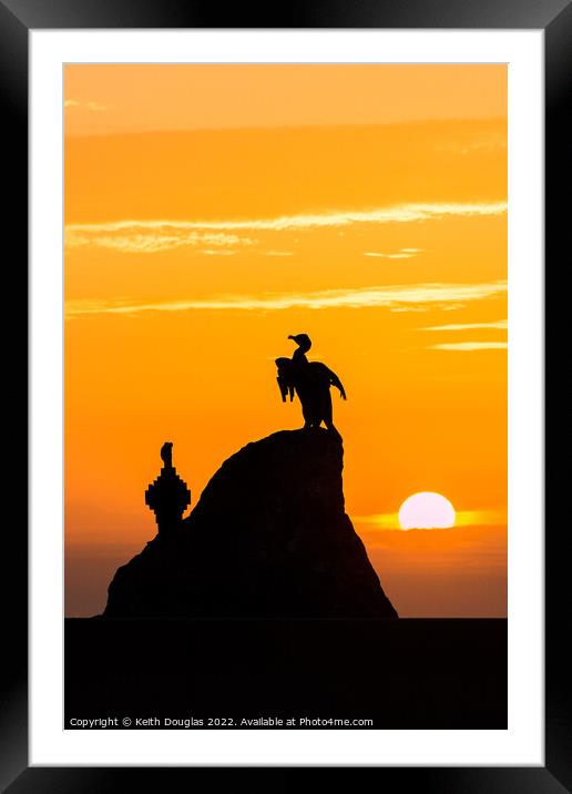 Morecambe Cormorants at Sunset Framed Mounted Print by Keith Douglas