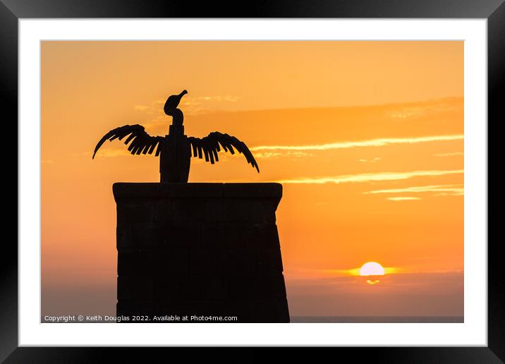Morecambe Cormorant at Sunset Framed Mounted Print by Keith Douglas