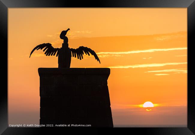 Morecambe Cormorant at Sunset Framed Print by Keith Douglas